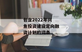 包含2022年兴鱼投资建设定向融资计划的词条