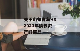 关于山东青岛HS2023年债权资产的信息