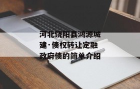 河北饶阳县鸿源城建·债权转让定融政府债的简单介绍