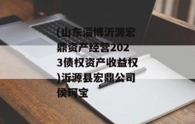 (山东淄博沂源宏鼎资产经营2023债权资产收益权)沂源县宏鼎公司侯珂宝