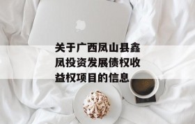 关于广西凤山县鑫凤投资发展债权收益权项目的信息