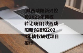 (陕西咸阳新兴控股2023年债权转让项目)陕西咸阳新兴控股2023年债权转让项目招标