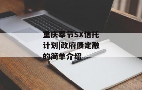 重庆奉节SX信托计划|政府债定融的简单介绍