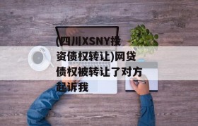 (四川XSNY投资债权转让)网贷债权被转让了对方起诉我