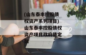 (山东泰丰控股债权资产系列项目)山东泰丰控股债权资产项目政府债定融