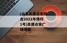 (山东高唐众安综合2022年债权1号)高唐众安广场项目