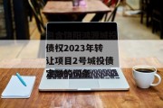 包含饶阳鸿源城投债权2023年转让项目2号城投债定融的词条