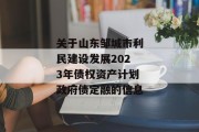 关于山东邹城市利民建设发展2023年债权资产计划政府债定融的信息