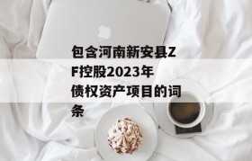 包含河南新安县ZF控股2023年债权资产项目的词条