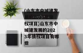 (山东市中城建发展的2023年债权项目)山东市中城建发展的2023年债权项目有哪些