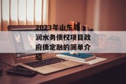 2023年山东晟润水务债权项目政府债定融的简单介绍