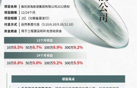 潍坊滨海旅游2022债权