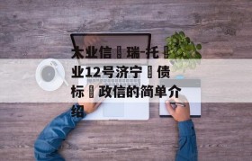 大业信‮瑞-托‬业12号济宁‮债标‬政信的简单介绍