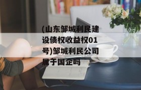 (山东邹城利民建设债权收益权01号)邹城利民公司属于国企吗