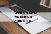 包含山东泰丰控股2023年债权资产项目的词条