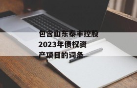 包含山东泰丰控股2023年债权资产项目的词条