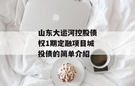 山东大运河控股债权1期定融项目城投债的简单介绍