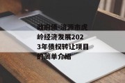 政府债-济源市虎岭经济发展2023年债权转让项目的简单介绍