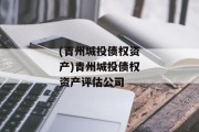(青州城投债权资产)青州城投债权资产评估公司