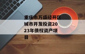 重庆市万盛经开区城市开发投资2023年债权资产项目