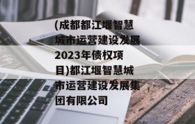 (成都都江堰智慧城市运营建设发展2023年债权项目)都江堰智慧城市运营建设发展集团有限公司