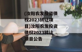 (汝阳农发投资债权2023转让项目)汝阳农发投资债权2023转让项目公告