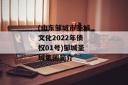 (山东邹城市圣城文化2022年债权01号)邹城圣城集团简介