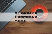 关于河南漯河市舞阳城投控股债权资产的信息