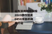 山东滨州阳信城投2023债权拍卖0458项目的简单介绍