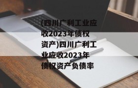 (四川广利工业应收2023年债权资产)四川广利工业应收2023年债权资产负债率