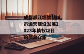 成都都江堰智慧城市运营建设发展2023年债权项目的简单介绍