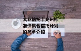 大业信托–兖州标准债集合信托计划的简单介绍