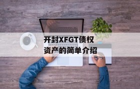 开封XFGT债权资产的简单介绍