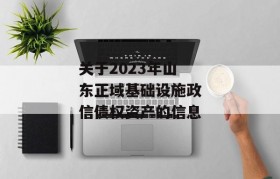 关于2023年山东正域基础设施政信债权资产的信息