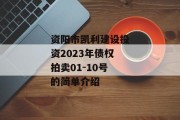 资阳市凯利建设投资2023年债权拍卖01-10号的简单介绍