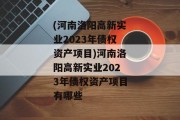 (河南洛阳高新实业2023年债权资产项目)河南洛阳高新实业2023年债权资产项目有哪些