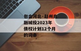 包含河北·赵州兆融城投2023年债权计划12个月的词条