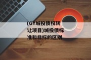 (GY城投债权转让项目)城投债标准和非标的区别