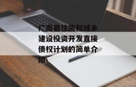 广南县住房和城乡建设投资开发直接债权计划的简单介绍