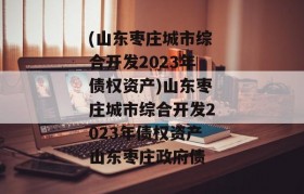 (山东枣庄城市综合开发2023年债权资产)山东枣庄城市综合开发2023年债权资产山东枣庄政府债