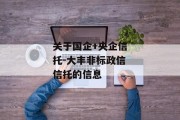 关于国企+央企信托-大丰非标政信信托的信息