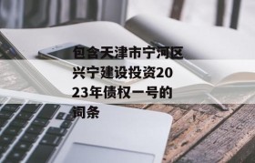 包含天津市宁河区兴宁建设投资2023年债权一号的词条