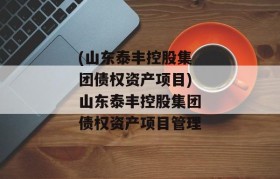 (山东泰丰控股集团债权资产项目)山东泰丰控股集团债权资产项目管理