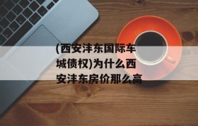 (西安沣东国际车城债权)为什么西安沣东房价那么高