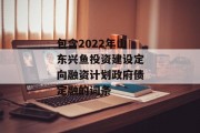 包含2022年山东兴鱼投资建设定向融资计划政府债定融的词条