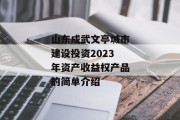 山东成武文亭城市建设投资2023年资产收益权产品的简单介绍