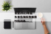 包含2023年山东青岛海科发展债权的词条