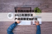 关于四川雄州实业2023年债权资产政府债定融的信息