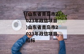 (山东省青岛市2023年政信项目)山东省青岛市2023年政信项目招标