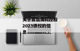 关于青岛海科控股2023债权的信息